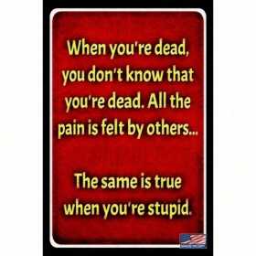 CIFbuy Vintage Stupid Metal Tin Sign Wall Art Living Room Garage Bar Decor TikTok, temu pick-up service